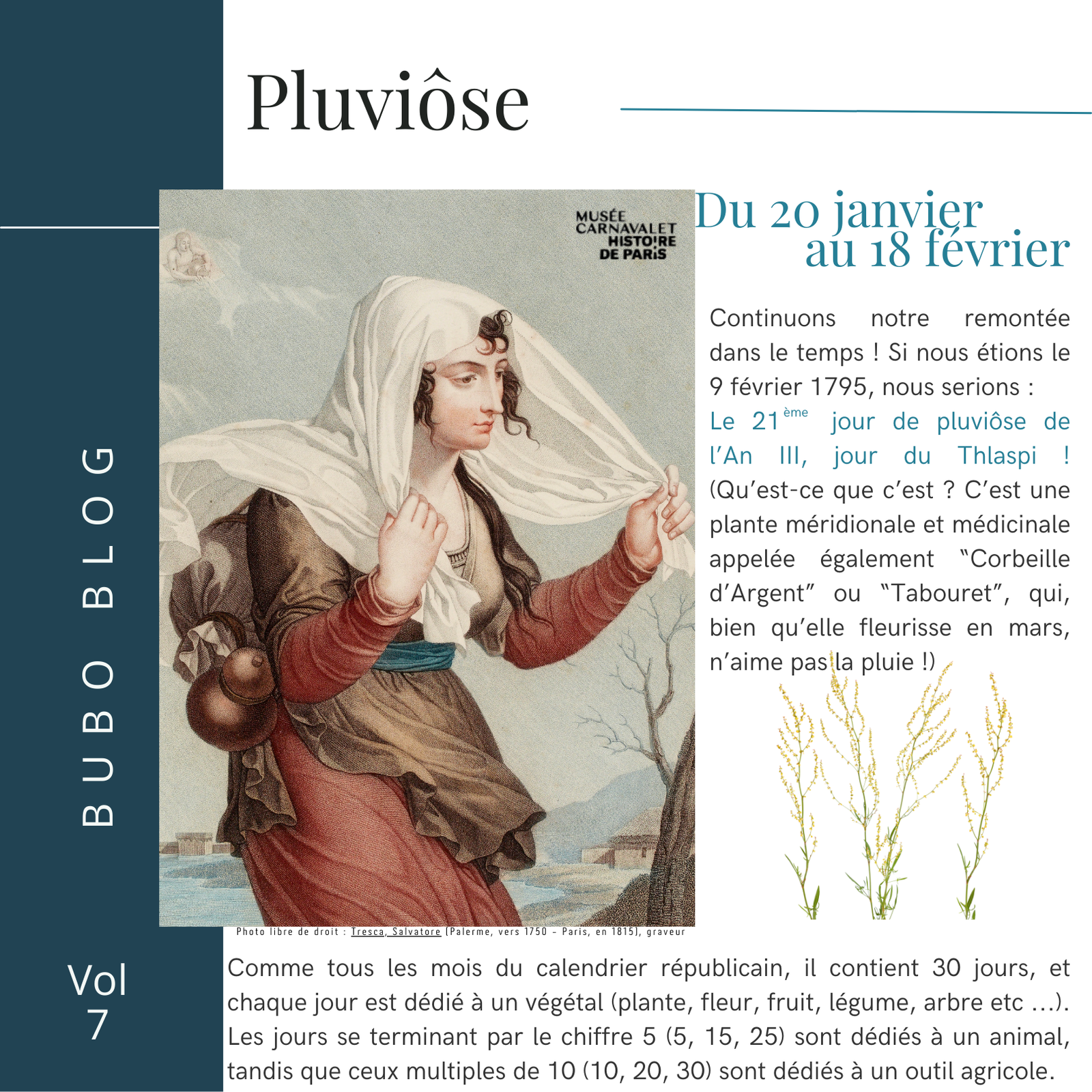 Pluviose 2